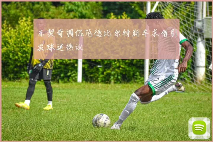 东契奇调侃范德比尔特新车求借引发球迷热议