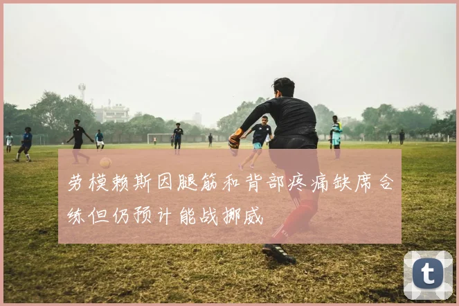 劳模赖斯因腿筋和背部疼痛缺席合练但仍预计能战挪威