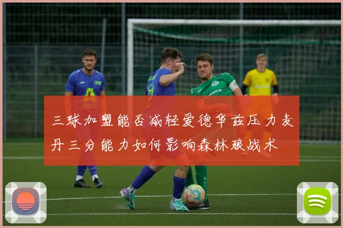 三球加盟能否减轻爱德华兹压力麦丹三分能力如何影响森林狼战术