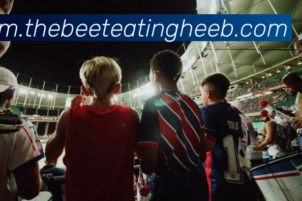 用户互动社区